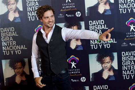 david bisbal net worth|Davidbisbaloficial